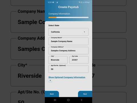 Free Paystub Generator App