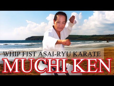 Asai-ryu Muchi Ken | 鞭拳 | Whip and Fist