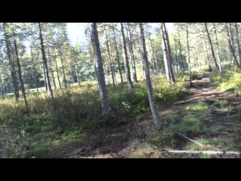 Lauantai lenkki osa2