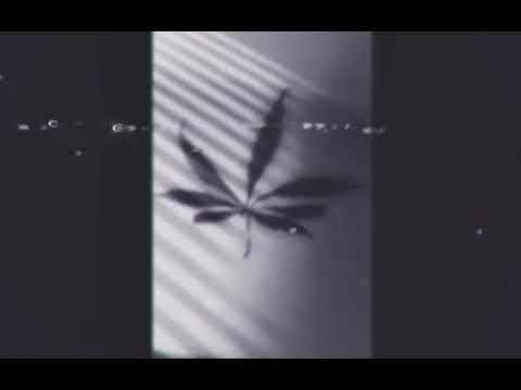 Kodvensta & Friba - Aamusta Iltaan