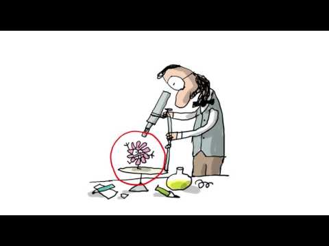 C’est qui Pasteur ? - 1 jour, 1 question