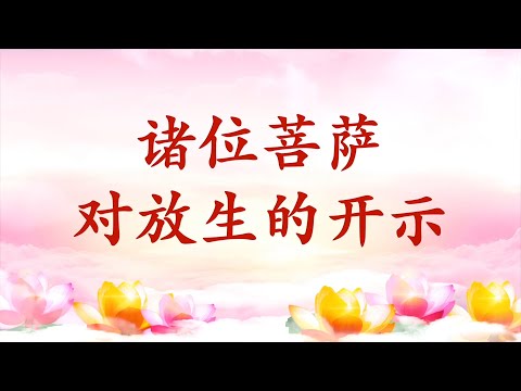 2. 【节目录音+字幕】诸位菩萨对放生的开示