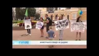 Международный Марш За Освобождение Животных 