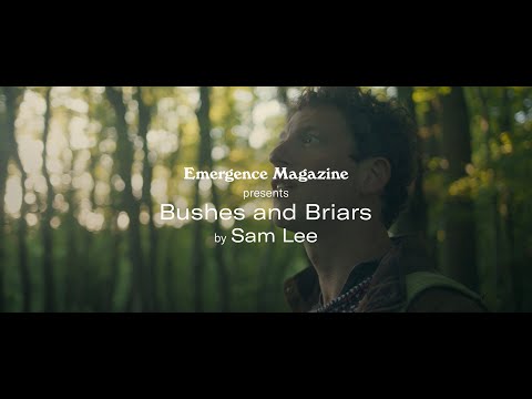 Sam Lee - Bushes and Briars (Official Music Video) in association with Emergence Magazine