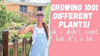 Get Those Garden Dreams Flowing in this El Paso Garden Tour That Will Inspire You To Grow SOMETHING!