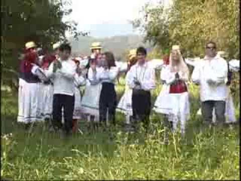 Etno All Stars - Floricica de trifoi - DVD - Etno star 5