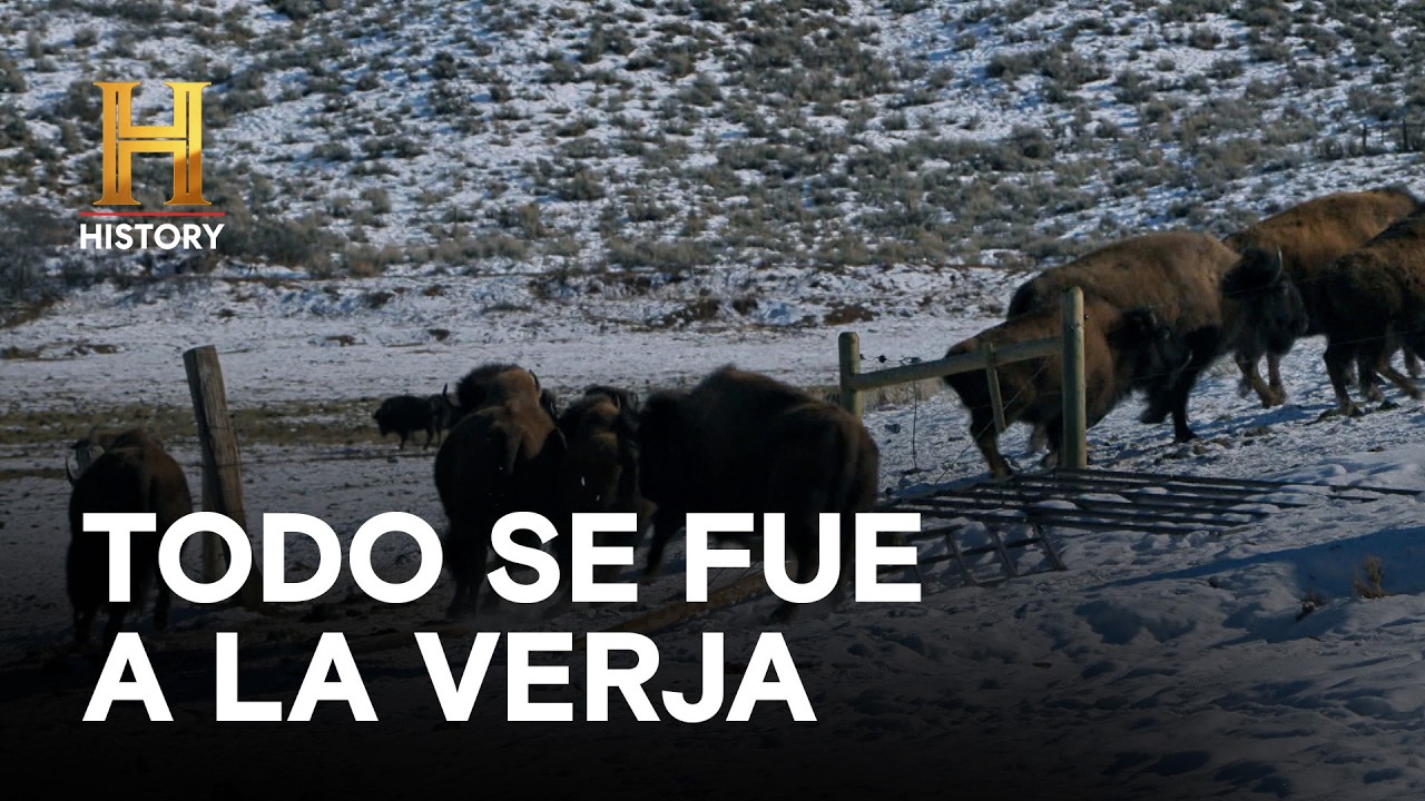TODO SE FUE A LA VERJA - HOMBRES DE MONTAÑA