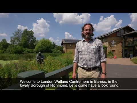 Welcome to Richmond upon Thames - Virtual Tour