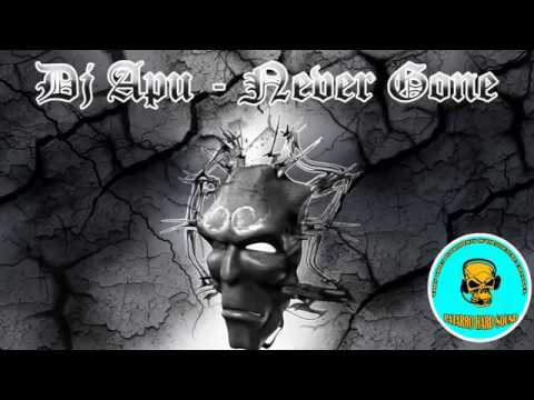Dj Apu - Never Gone