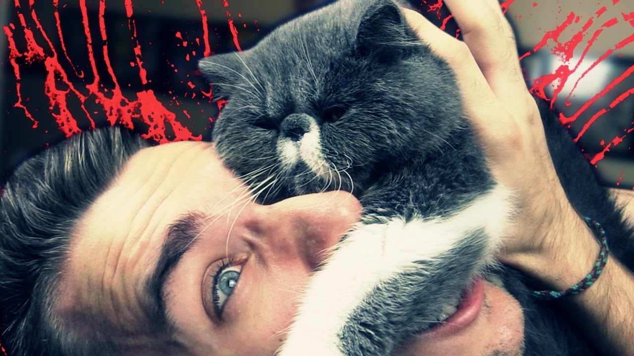 ANIMALS GONNA HATE ! (Far Cry 4) thumbnail