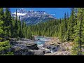 Copyright Free Nature Sounds Copyright Free Nature Background Copyright Free Nature Videos