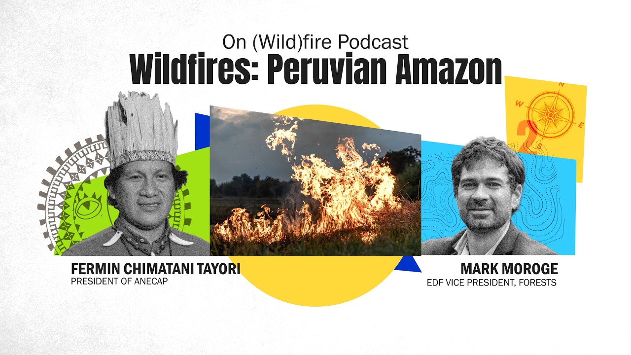 On (Wild)fire Podcast | Episode 02 | Wildfires in a changing environment at the Peruvian Amazon