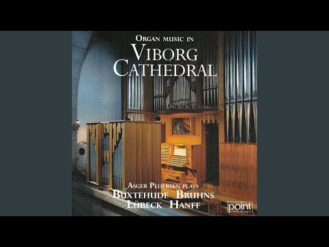 Vor Fader udi Hemmerig, BUX 219