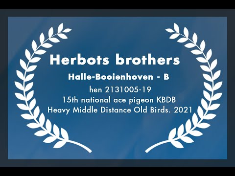 Herbots brothers, 15th national ace pigeon KBDB Heavy Middle Distance Old Birds 2021