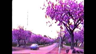 preview picture of video 'Blossom Bournville Lane, Birmingham April 1982'