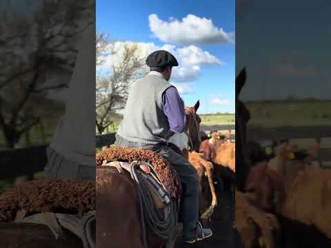 Preparando encierre en EL EMPALME