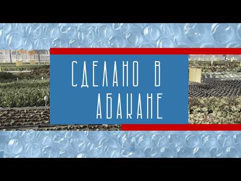Пятая юбилейная выставка "Сделано в Абакане"
