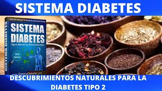 sistema diabetes funciona? libro digital sistema diabetes funciona? sistema diabetes opiniones