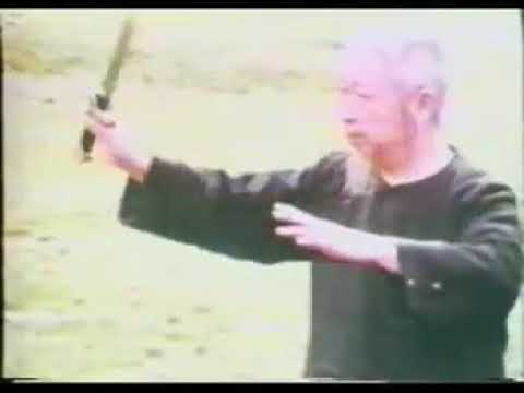 PUSH HANDS with the Ultimate Winner - Professor Cheng Man-ch'ing