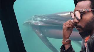 Dirty Projectors - Little Bubble - Jay Walter - Exploring Other Worlds 22