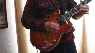 Shady Lady　　cover    高中正義