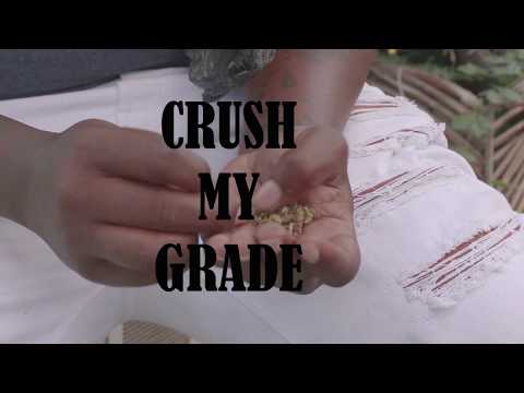 Dawahn Salaam ft Echo Middleton - Crush My Grade (Lyric Video)