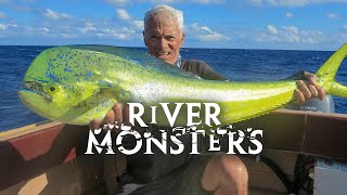 Download lagu Non-stop River Monsters 24/7 | Biggest Catches & Best Moments mp3 Download lagu Non-stop River Monsters 24/7 | Biggest Catches & Best Moments mp3