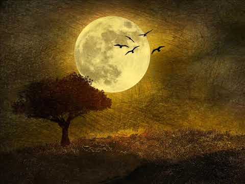 Zoltán Kocsis - Clair De Lune (Debussy)