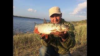 Ловля на реке донными снастями