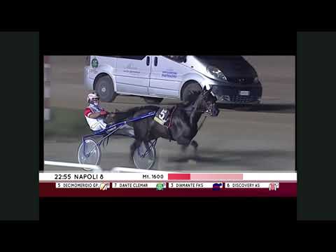 Premio Gaia - DECIMOMERIDIO GPD - 23/07/2022