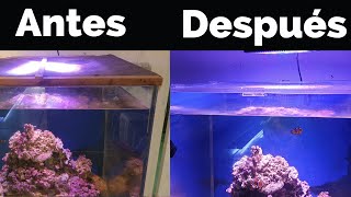 🤔¿Cómo hacer una tapadera casera para el acuario? (Económica)✅