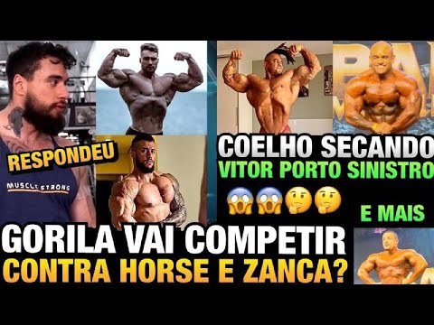 GORILA VAI ENCARAR HORSE E ZANCA NO EXPO SHOW ?? - COELHO SECANDO - VITOR PORTO VAI SER PRO EM BREVE