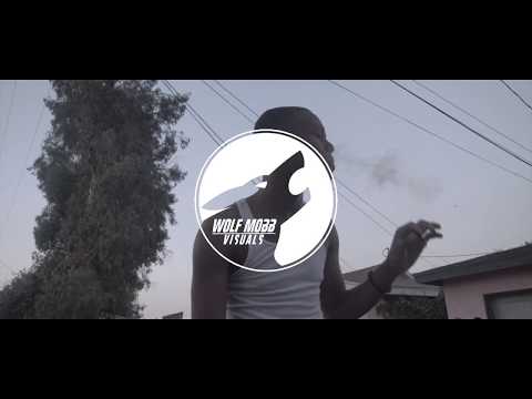 DonnyLoc - From The Jump ft. MNS Dank : SHOT BY Wolf Mobb Visuals