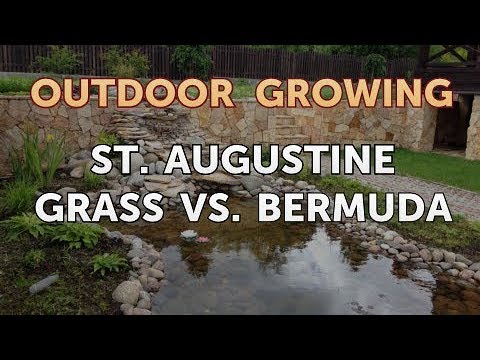 Will Salt or Vinegar Kill Bamboo