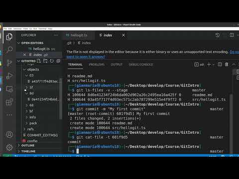 Git Internals First Commit