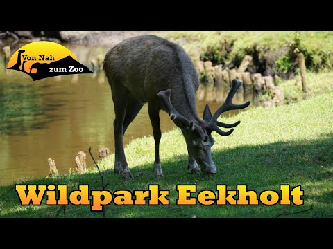 Wildpark Eekholt - Natur erleben? - Von Nah zum Zoo 4k