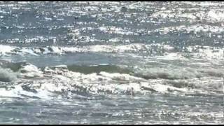 Studland  - Dorset Coast Series