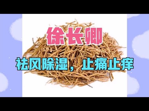 中医中药知识普及-徐长卿，祛风除湿，止痛止痒，用于风湿痹痛，胃痛胀满，牙痛腰痛