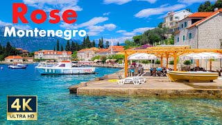 Rose Montenegro 🇲🇪 4K Bay of Kotor Walking Tour 2022