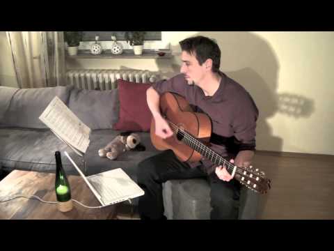 Hansi's Videotagebuch 8.Tag - Gitarre lernen in 30 Tagen