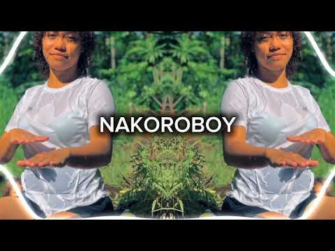 TRIBAL KUSH BIG BATTY  DEMBOW [MALO VIBES] 2024🍻💯