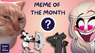 January 2024 Meme Of The Month Revealed