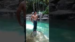 Taman rimba pulau pinang