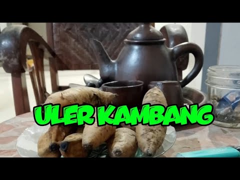 GENDING KLASIK JINEMAN ULER KAMBANG
