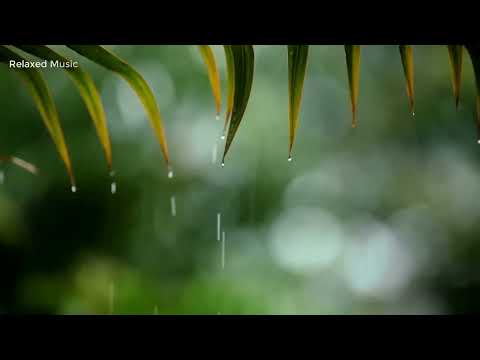 10 Hours of Relaxing Music  - Sleep Music with Rain Sound, Piano Music for Stress Relief