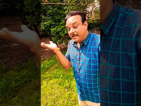 Dil Lootnewale | #shorts #old #50s #hindi #love #song #reels #ytshorts #shortsfeed #rajeshroshan407