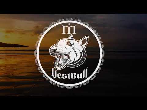 VestBull   Night Girl Feat  Stefano