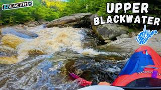 Upper Blackwater WV "Blackwater Falls to NF Hike"