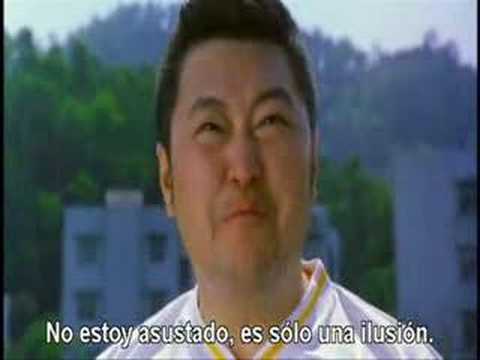 Banderas Shaolin de Roña