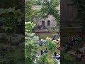 Eric Hofbauer Quartet – Long As You’re Living | Wild Music on Georges Island